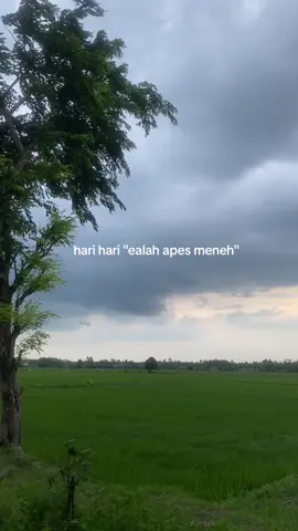 wong tulus bahagiane keri 😭