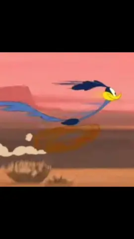 Day 630 BEEP BEEP The chase is on. #roadrunnerlooneytunes #dailydose #looneytunesroadrunner #dailydoseofroadrunner #daily #day630  #630  #roadrunnerandwileecoyote #roadrunnerandcoyote 