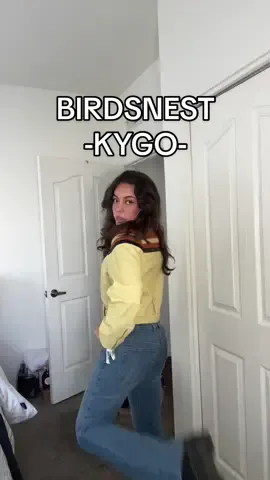 #birdsnestconcert #kygo #wastemanagmentopen 