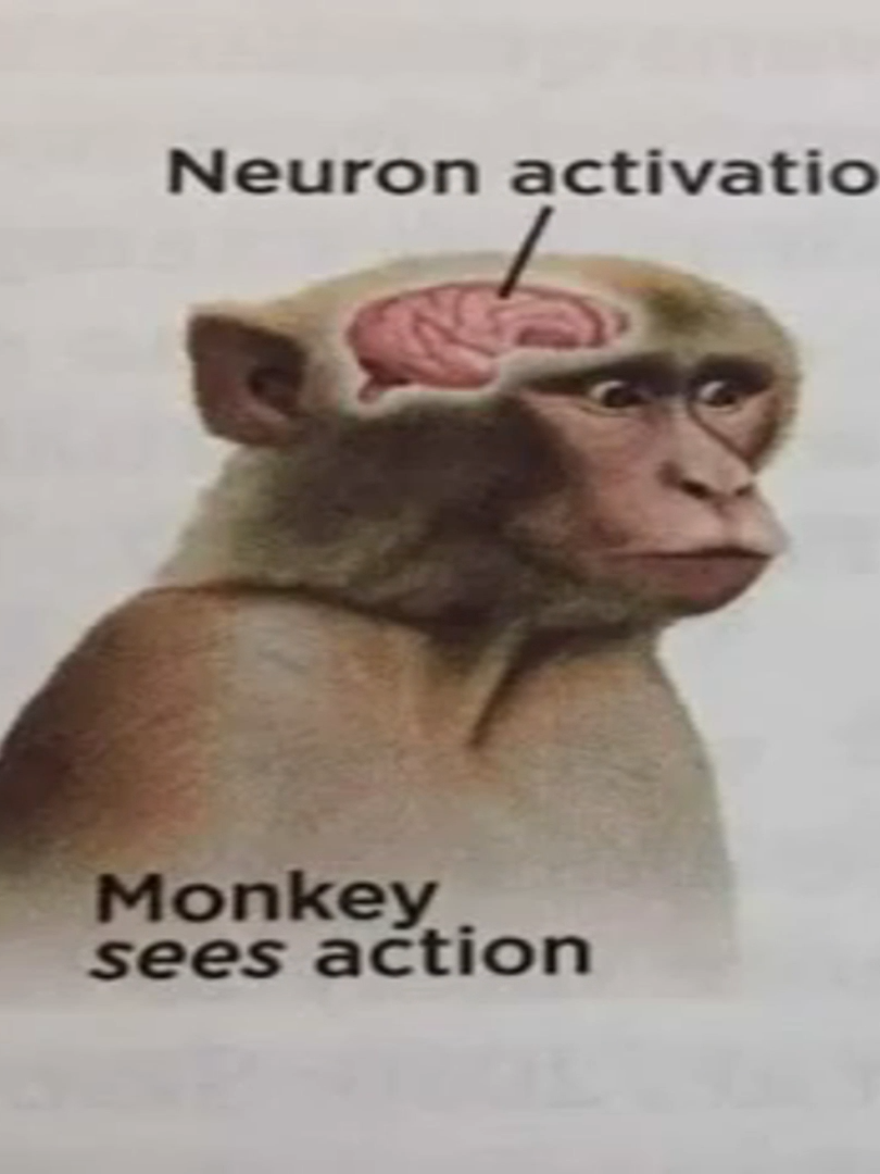 @elegas027 ??? kkkkkkkkk #dc #viral #fy #elegastiktok #vasco #marvel #meme #memestiktok #tiktok #voice #neuroactivismo #monkey #animal #memeanimal