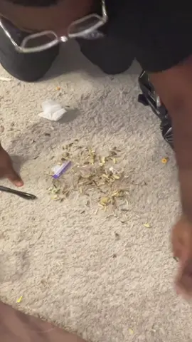 Replying to @Christine PoocaBaby Brown spitting sunflower seeds everywhere HELP 