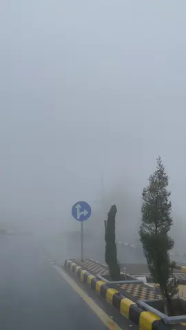 اصور من وسط الضباب والمطر من وين تشوفونه ؟؟ امططططرت ابهانا♥️ #ابها_الان #المعيه #الضباب_ابها 