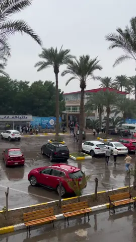 اجواء المطر في جامعه الفارابي 🥹☂️#جامعة_الفارابي #اقسام_داخلية #جامعة #حفلات_تخرج #مطر #explore #fyb #foryоu #CapCut #هيجيلي_موجوع @✨ نوغا. ✨ 