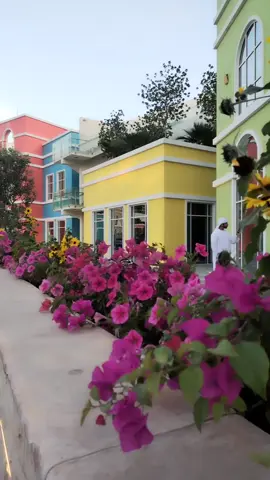 #الحياه #مافي_شي_مثالي #الحياة_ناقصه_الكمال_لله #فهد_البشاره #كلام_من_ذهب #اكسبلور #لايك #منوعات 