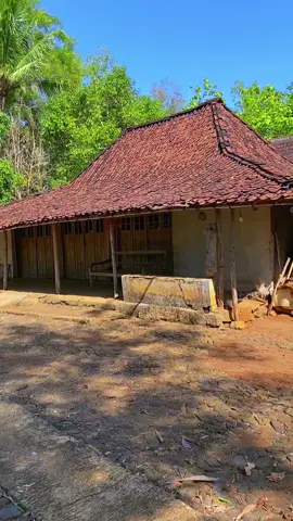 Suasana pedesaan, masih asri suasananya lur, ini rumahnya mbah simul,  model rumah limasan seperti ini sekarang sudah jarang ditemui. Lokasi : Mojoreno Lor Sidoharjo #suasanapedesaan #pedesaanwonogiri #wonogiri 