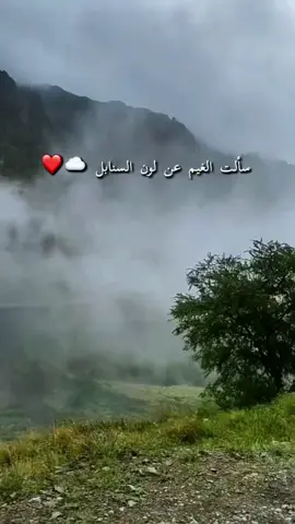 سألت الغيم عن لون السنابل☁️❤️🎻#محمد_عبده_اكسبلور #fypシ 