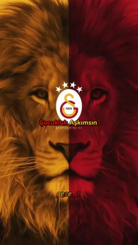 Hayatın Anlamı GALATASARAY💛❤️ #_gece_.06 #gecemusic #galatasaray #galatasarayailesi 