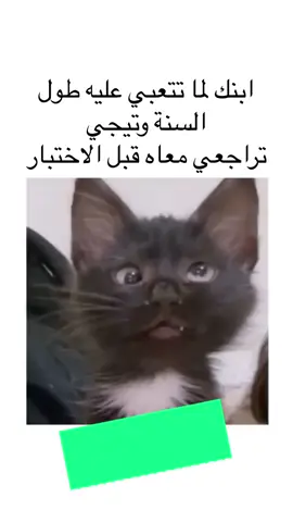 #الشعب_الصيني_ماله_حل😂😂  #مصر_السعوديه_العراق_فلسطين  #مصر  #مدارس #التعليم  #التعليم_عن_بعد  #السعودية  #قطر  #الكويت  #الهاشتاقات_للشيوخ  #ترند