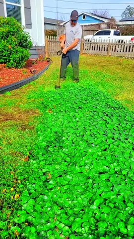 Satisfying Garden Work 🤩🍀 #garden #satisfyingvideo #satisfyingcleans #viraltiktok #fyp