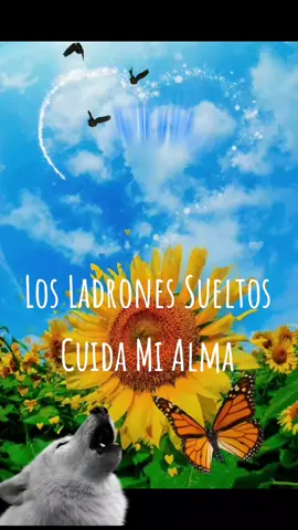 Los Ladrones Sueltos  Cuida mi Alma #XDR #🐺🌕#🐺🌻#losladronessueltos#nena#cuidamipiel#cuidamialma#nenaregalame#nenaperdoname#soyunmuroimpenetrable#soyunjuego#medominalaavaricia#paraescuchar #paraestados #parati 