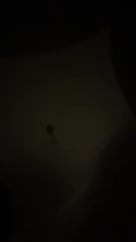 Tek yaradan var hayatımızda..