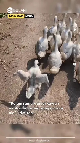 Ni perangai anak nombor berapa ek? #ohbulan #santai #itik #putih #dalam #ramai #kawan #mesti #ada #sorang #macam #ni 