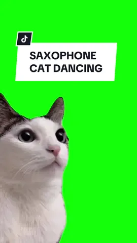 #CapCut SAXOPHONE CAT DANCING meme. #greenscreen #greenscreenvideo #greenscreenoverlays #fyp #fypシ #fypage #fypppppppppppppppppppppppppppppppppppppppppppppppppppppppppppppppppppppp #fyppage #fypシ❤️💞❤️ #meme #memes #memestagram #freefirememe #memepage #viral #viralvideos #viralreels #viralvideo #viralpost #meme2024 #trend #trendy #trending #trendingreels #trendtiktok #trendingtiktok #trendy 