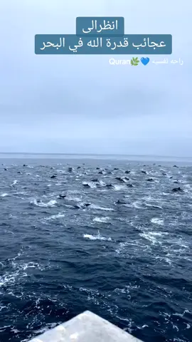 قرآن كريم 🥀 راحه نفسيه 🥀 سبحان الله #سوريا_تركيا_العراق_السعودية_الكويت_عمان #اكسبلورexplore 