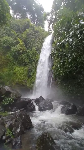 Kondisi Air Terjun Montel pas lagi deras airnya #airterjunmontel #montel #gunungmuria #alam #kuduspride #wisatakudushits #wisatakudusjateng #muria #kudusstory #fyp #exploremuria 