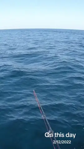 #onthisday #fy #fypシ #fyp #viral #fypシ゚viral #fish #fish #fishing #keepfishing #topwaterfishing #sportfishing #gofishing #explore #اكبسلور 