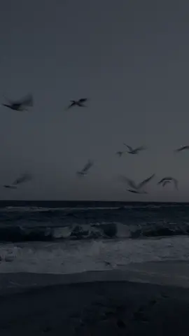 سوڕەتی (آل عمران) - القارئ : محمد صديق المنشاوي