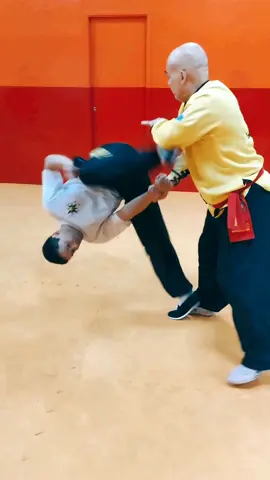 #tskf #kungfu #kungfuadistancia #kungfuonline #wushu #louvaadeus #artemarcial #artesmarciais #shaolin #chikung #camisadeferro #humor 