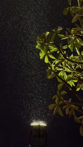 #عبدالمجيد_عبدالله #صوت_المطر #مطر #ما_علمك_صوت_المطر_كيف_احتريك💕🌧  