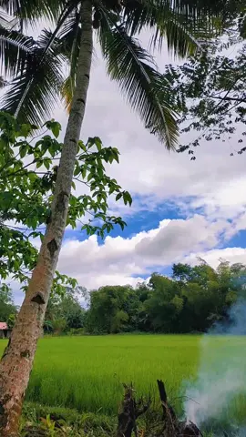 One day you will have everything you prayed for 🙏🙇‍♀️BELIEVE IT 🤞😇 #Puhon #Padayon 