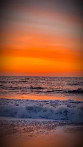 TE LA DEDICÓ 🐼 #Tu_Poeta - #La_Unica_Tropical ... 🏝