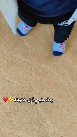 #الجزء238 الحلو_صار_يمشي بسم_الله_ماشاء_الله،الله يحميك ياقلبي 🧿❤️#ماشاءالله #اللهم_صلي_على_نبينا_محمد #ابني #عيوني #عمري #الله_يحفظك #ياروح_الماما #ابني_جود #ياقلبي #ملاكي #capcut #صار_يمشي_شوي_شوي😝 #دادا_هالله_هالله♥️😍 #دادا_حبة_حبة🤗 #ماشاءاللہ #جواد #explor #لايك__explore___ #تفاعل #اكسبلور #lojeenmaher #دعم #متابعه_ولايك_واكسبلور_فضلا_ليس_امر 