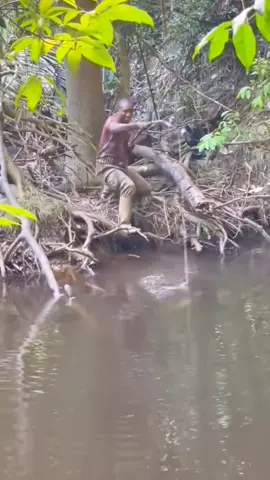 Mancing Ikan Di Air.#ikanikan #ikanbanyak #ikanbanyaksekali #ikanbanyakbanget #ikangabus #ikantoman #ikanbesar #dapatikan #sianghari #fyp #trabding #teratas 