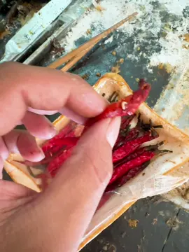 たまごやき　#おうち時間 #一人暮らし #料理 #おすすめ #fyp #ハリツ #ハリツ飯 