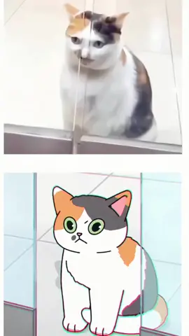 How cute it it? #xuhuong #fyp #cat #funnyvideos #viral #tranding #cute #catlover #kitty 