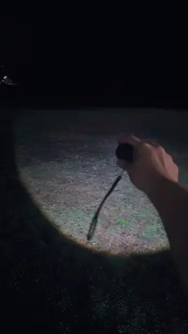 I think it is pretty bright! I also love that it’s rechargable! We all know how much men love their flashlights. But I may have to keep this one for myself! @Earrck shop  #flashlight #flashlights #flashlightsave #rechargableflashlight #brightflashlight #carsafety #daughterscar #dumesday #parentsoftiktok #teenageparents #survivaltips #stockpile #preppers 