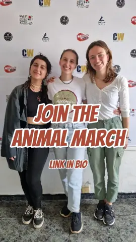 Yesterday we were on air at @Oasis Fm 👀 Thank you so much for having us on your show, it was amazing! 😺 You can find more info about the Animal March in our bio 🤸 Good luck marchers! #theanimalmarch #tenerifeanimals #sportchallenge 