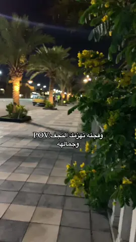 اثبتو وجودكم اهل النجف  #النجف  #النجف_الاشرف #نجفنااا_الحلوهه🌝🥺💞 #اكسبلور #شعب_الصيني_ماله_حل😂😂 