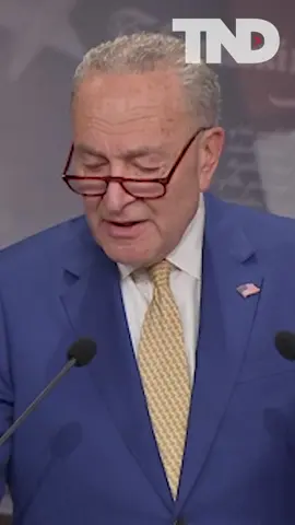 Sen. Chuck Schumer defends President Joe Biden’s mental fitness, saying, “All this right-wing propaganda that his mental acuity has declined is wrong.” #schumer# #biden #capitolhill #washingtondc #bidenmentalhealth #memory #mentalfitness