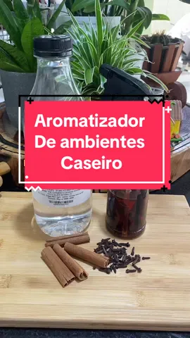 Aromatizador Caseiro de Canela e Cravos: Deixe Sua Casa Perfumada e Aconchegante! 🏠                                      #aromatizantecasero                              #aromatizante                              #aromatizantesambientales         #aromatizadordeambiente               #dicasdafloren 