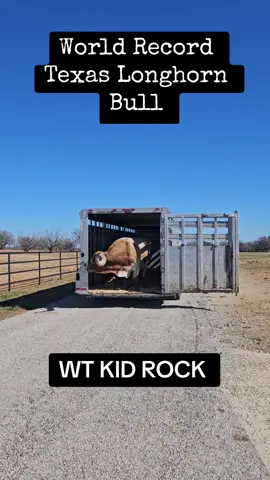 #rancho #ranch #texas #ranchlife #texaslonghorns #worldrecord #GOAT 