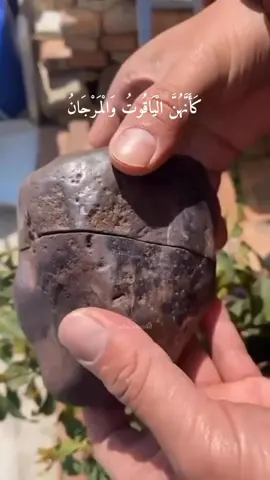 كأنهن الياقوت والمرجان 🕊️🥹#سبحان_الله_وبحمده_سبحان_الله_العظيم #اكتب_شي_توجر_عليه #foryoupage #القران_الكريم_راحه_نفسية😍🕋 #اكسبلور #فولو #كانهن_الياقوت_والمرجان #مسلم_muslim #foryoupage #fypシ゚viral #ذكر_الله #عبدالباسط_عبدالصمد 