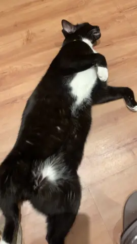 Pós carnaval né mores #fy #cat #carnaval