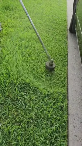 Satisfying Lawn Care Cutting Grass 🌻 #lawncare #lawncarelife #grasscutting #grasstok #oddlysatisfying #satisfying #satisfyingvideo #asmr #fyp 
