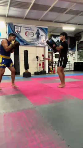 Sanda pad workout🔥💀 #wushu #sanda #mma #kickboxing #martialarts #muaythai #karate #kungfu #wushukungfu #taekwondo 