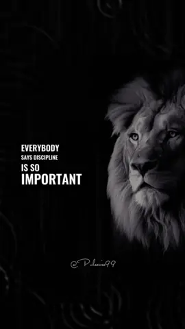 Everybody says discipline is so important. #positivity #discipline #motivation #inspirationalquotes #quoteoftheday #inspire #neverignore #mindset #usa_tiktok 