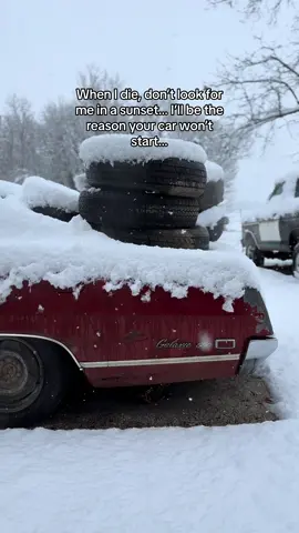 👻👻👻 #midwestmoneypits #ford #galaxie500 #fastback 