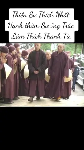 Thiền Sư Thích Nhất Hạnh thăm Sư ông Trúc Lâm Thích Thanh Từ.#lờiphậtdạy 