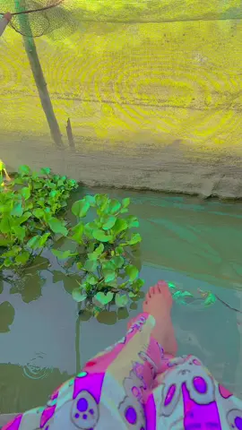 Gái #vĩnhlong  lấy chồng #càmau  #64_vinhlong 