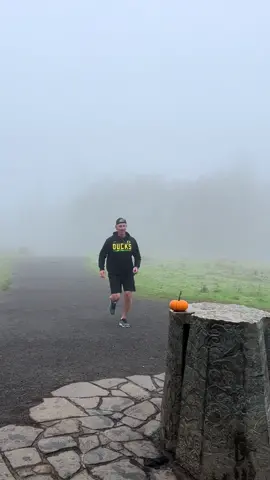 Trying to get like @cameronhanes 😤😤