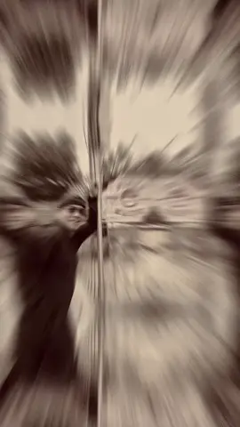 Pemilihan umum telah memanggil kita Seluruh rakyat menyambut gembira Hak demokrasi Pancasila Hikmah Indonesia merdeka Pilihlah wakilmu yang dapat dipercaya Pengemban ampera yang setia Di bawah Undang-Undang Dasar '45 Kita menuju ke pemilihan umum Lagu karya Mochtar Embut (5 Januari 1934-20 Juli 1973) yang diciptakan tahun 1970, dan menjadi lagu resmi Pemilu yang ditetapkan lewat Keputusan Menteri Dalam Negeri/vKetua Lembaga Pemilu No. 28/LPU/1970. #fyp 