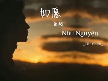 [Vietsub+Pinyin] Như Nguyện - Tiêu Chiến | 如愿 - 肖战 #XiaoZhan #TieuChien #肖战 #vnxfxlovexiaozhan #thỏ_xz_ngọc 