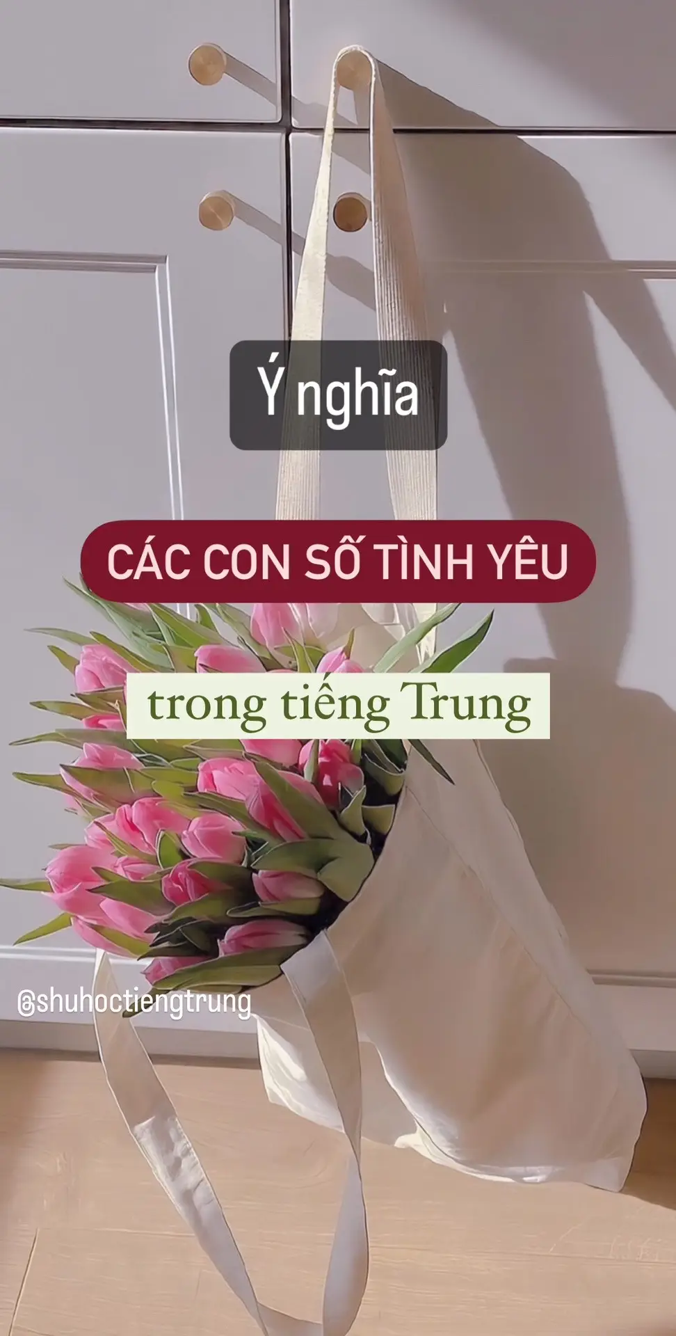 Các cậu đã biết mật mã tình yêu này chưa ^^ #LearnOnTikTok #hoctiengtrung #tiengtrung #zhongwen #hsk #hskk #hocngoaingu #trungquoc #douyin #chuhan #yingshu #chinese #tiengtrungquoc #中文 