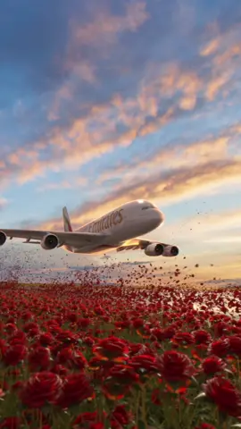 We always get swept up by our love of flying. 🌹 Happy Valentine’s Day from Emirates! #Emirates #A380 #Planetok #ValentinesDay #AVGeek