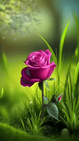 #routine #tiktoknews #الروتين_المسائي #routine #tiktoknews #الروتين_المسائي 