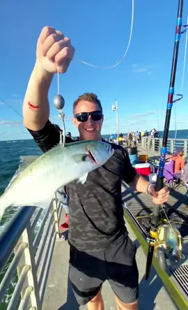 #fishvideos #omg #crazyfish #fishing #fyp #commercialfishing #titkok #bigfish #gofishing #fishinglife #sea #usa #fypシ #viral 